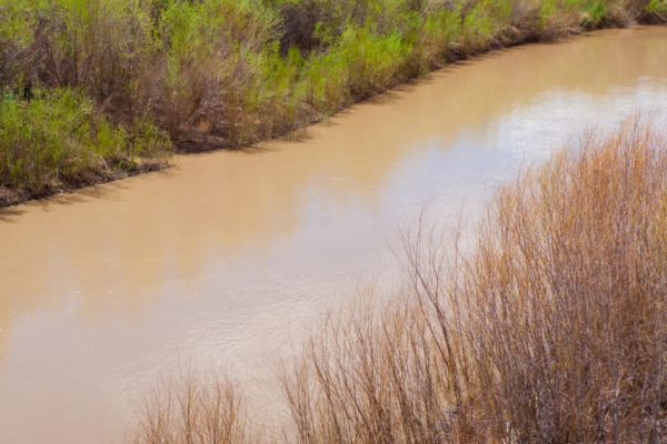 The Demerara channel high pressure water injection will muddy traditional fishing grounds